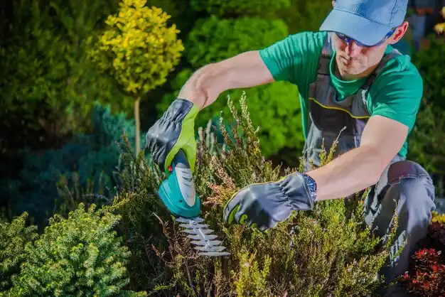 landscaping services Stottville